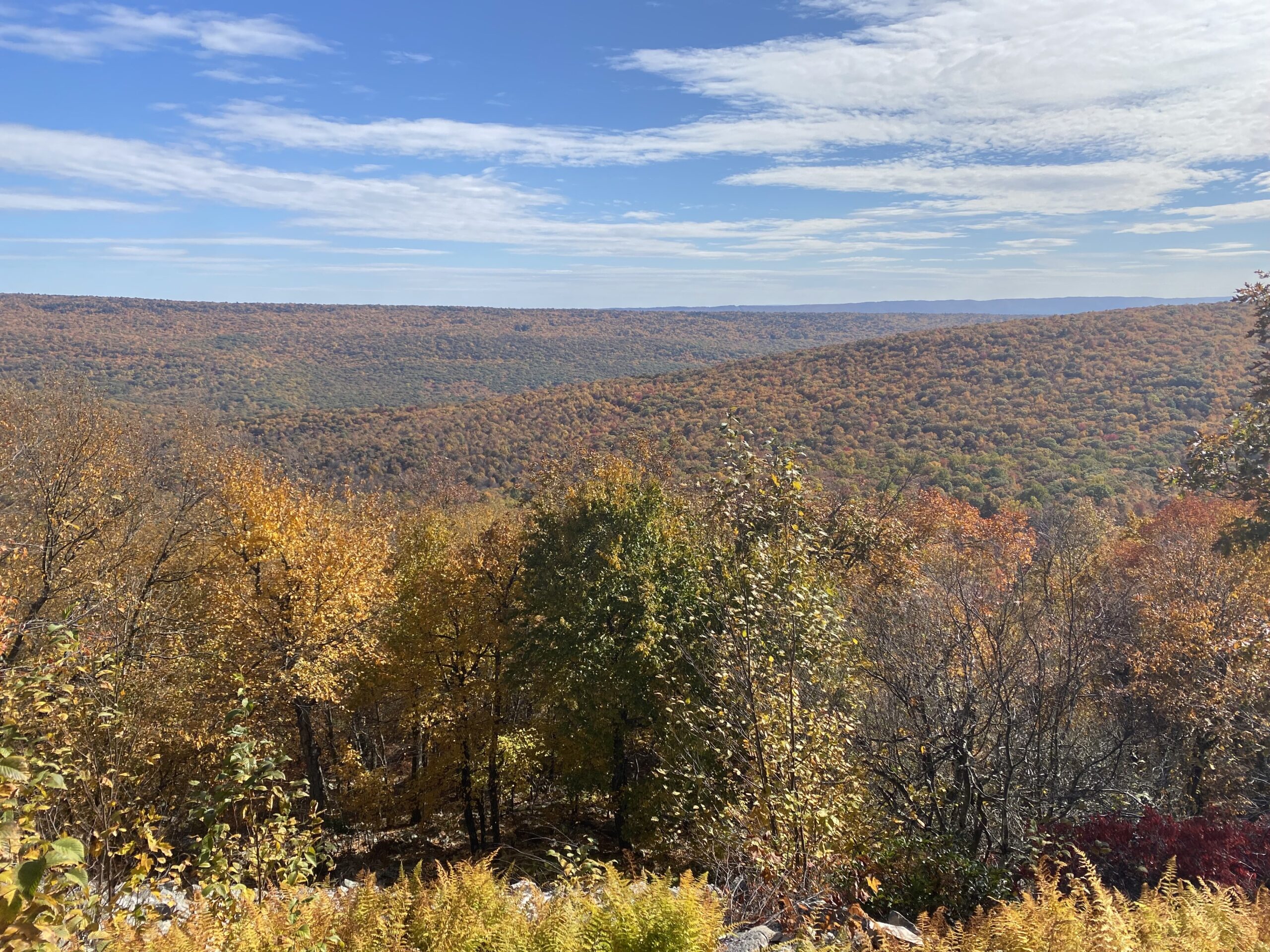 Fall