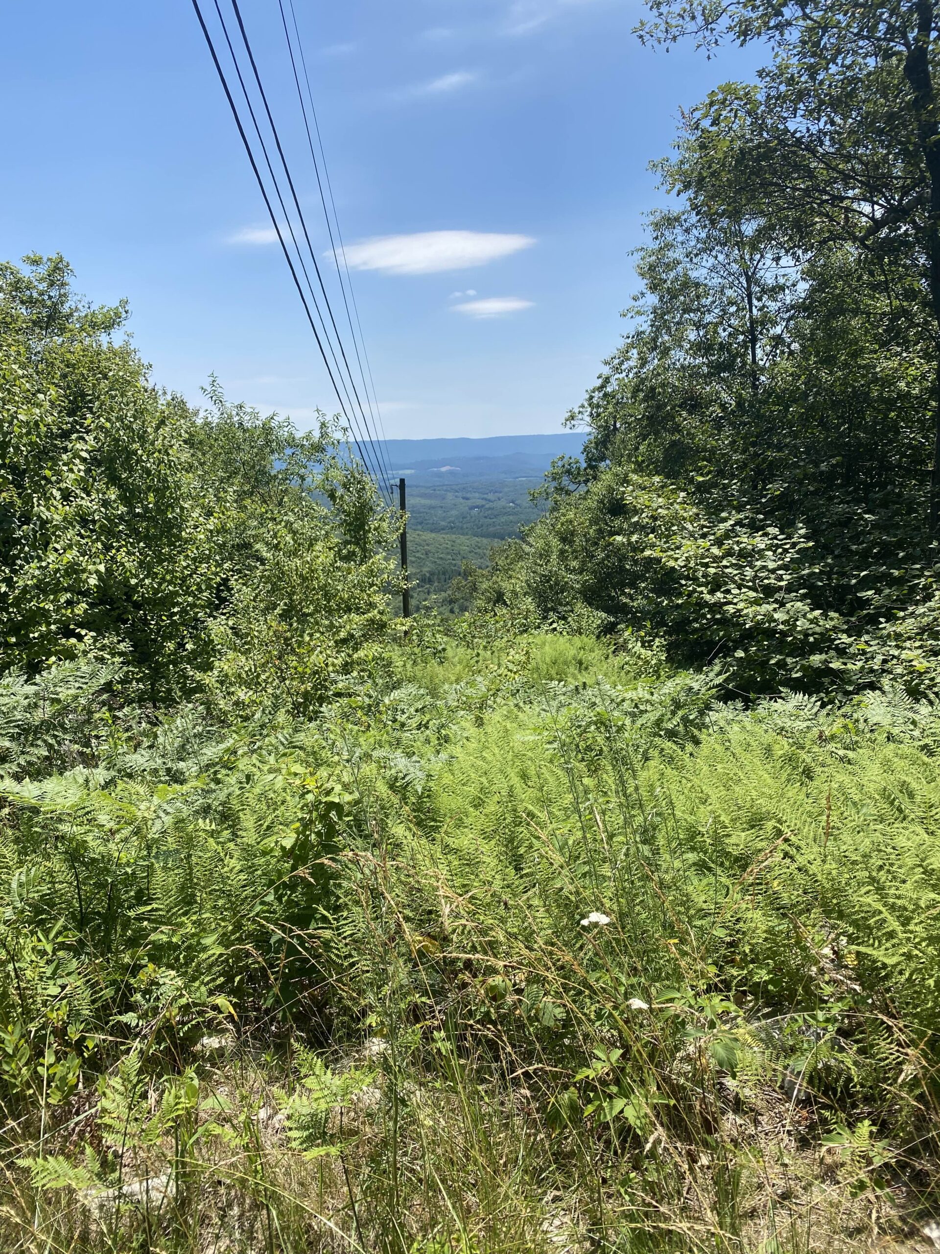 Path