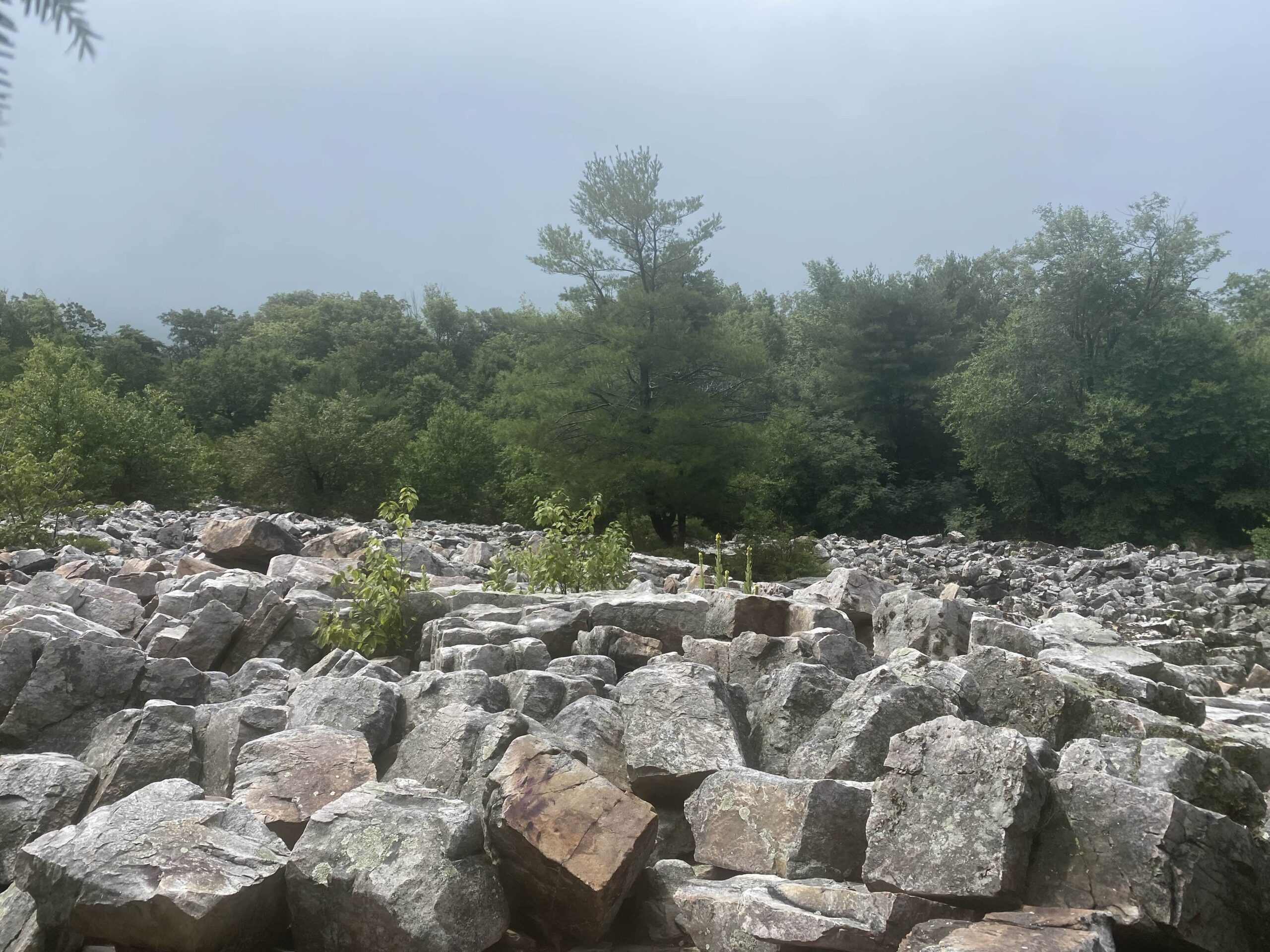 Rocks