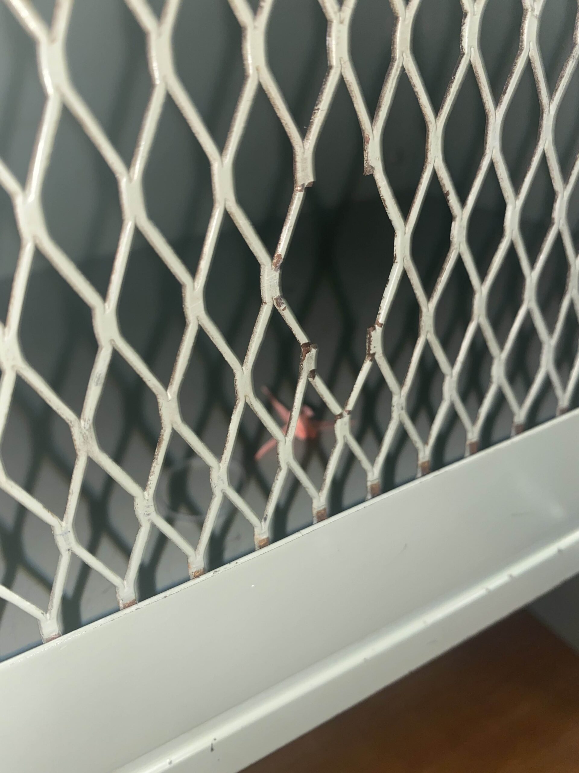 Trapped